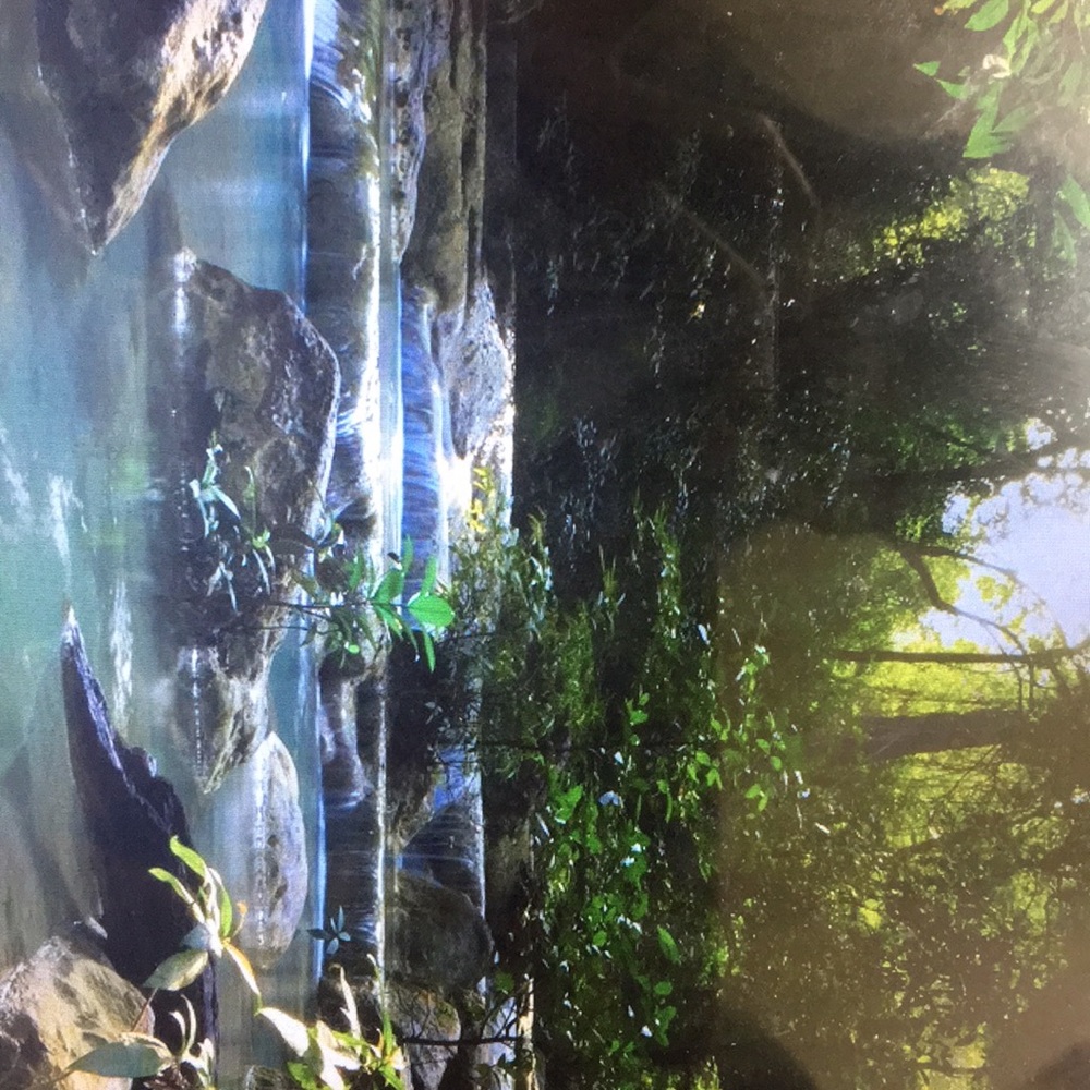 Meet your Posher, Priyanka